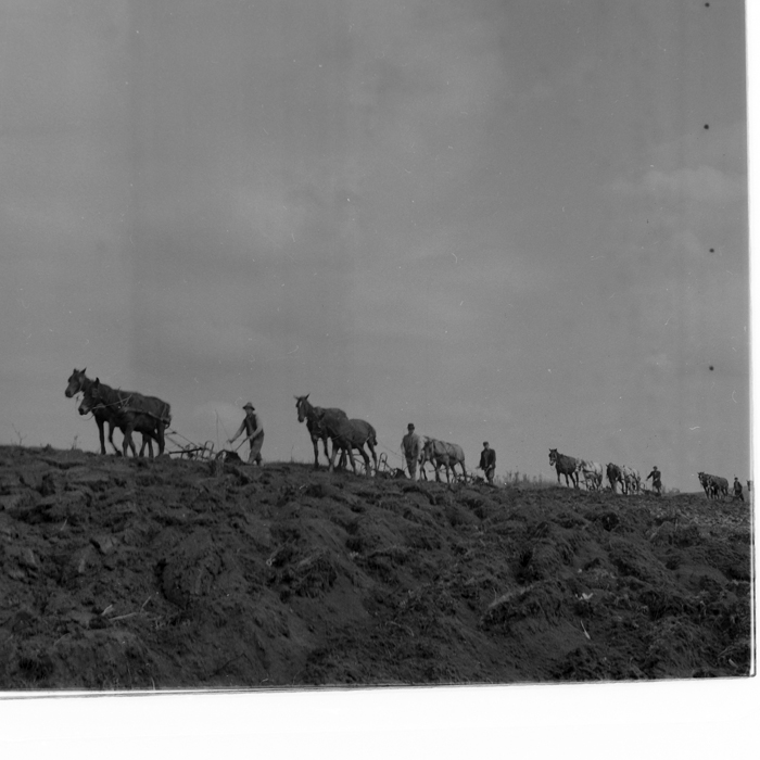 minerva_deak_f_c1_agrar-244