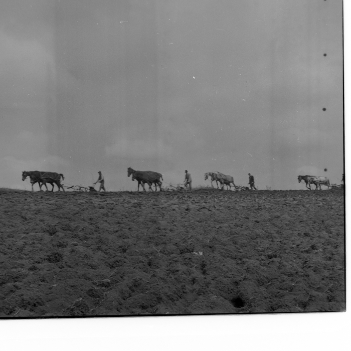 minerva_deak_f_c1_agrar-245