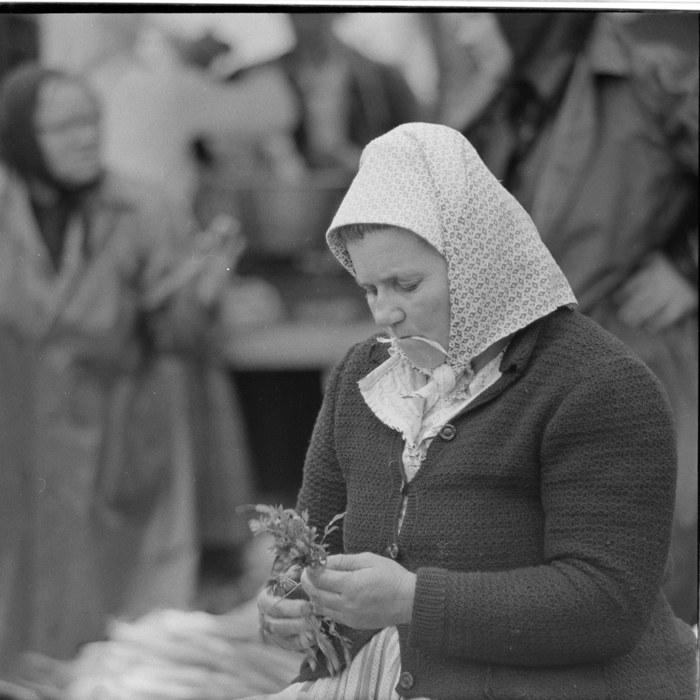 minerva_deak_f_c1_piata cluj-002