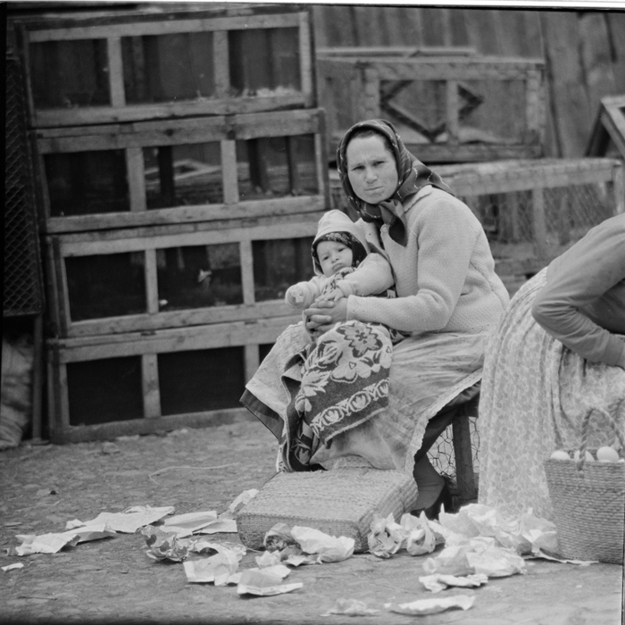 minerva_deak_f_c1_piata cluj-003