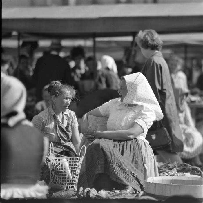 minerva_deak_f_c1_piata cluj-004