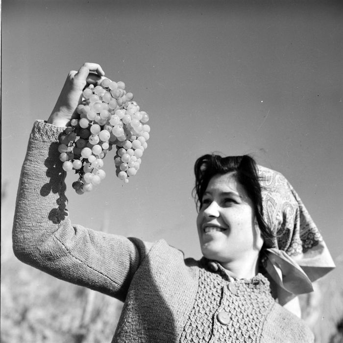 minerva_deak_f_c1_piata cluj-010