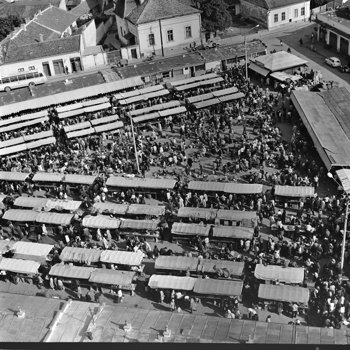 minerva_deak_f_c1_piata cluj-011