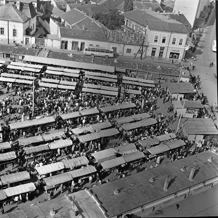 minerva_deak_f_c1_piata cluj-012