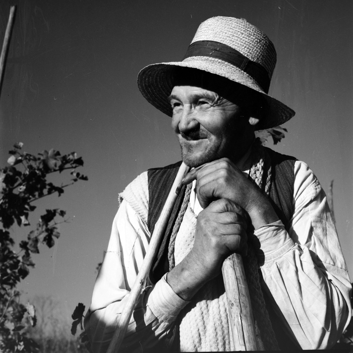 minerva_deak_f_c1_piata cluj-014