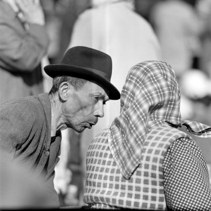 minerva_deak_f_c1_piata cluj-015