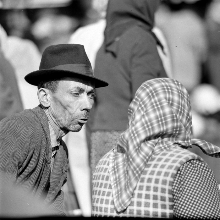 minerva_deak_f_c1_piata cluj-016