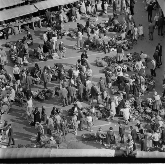 minerva_deak_f_c1_piata cluj-017