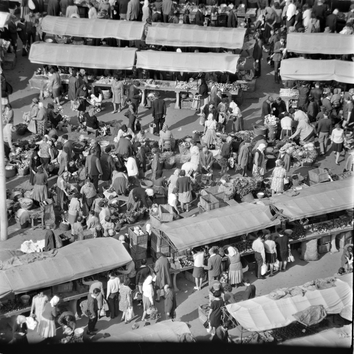 minerva_deak_f_c1_piata cluj-018