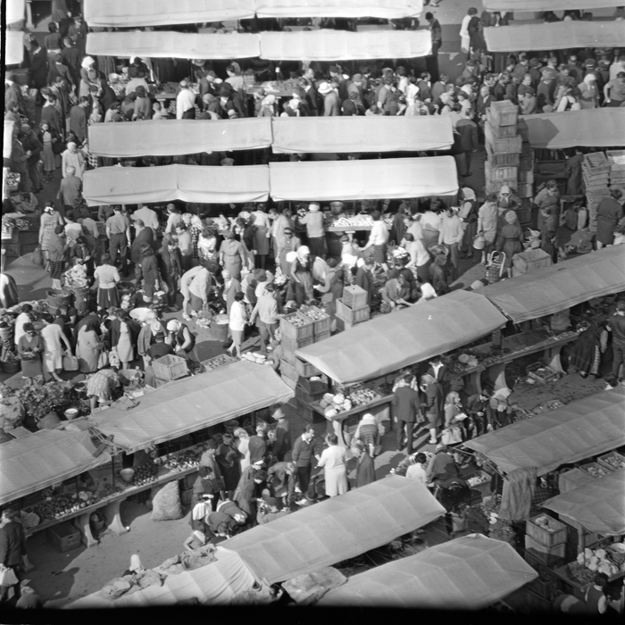 minerva_deak_f_c1_piata cluj-021