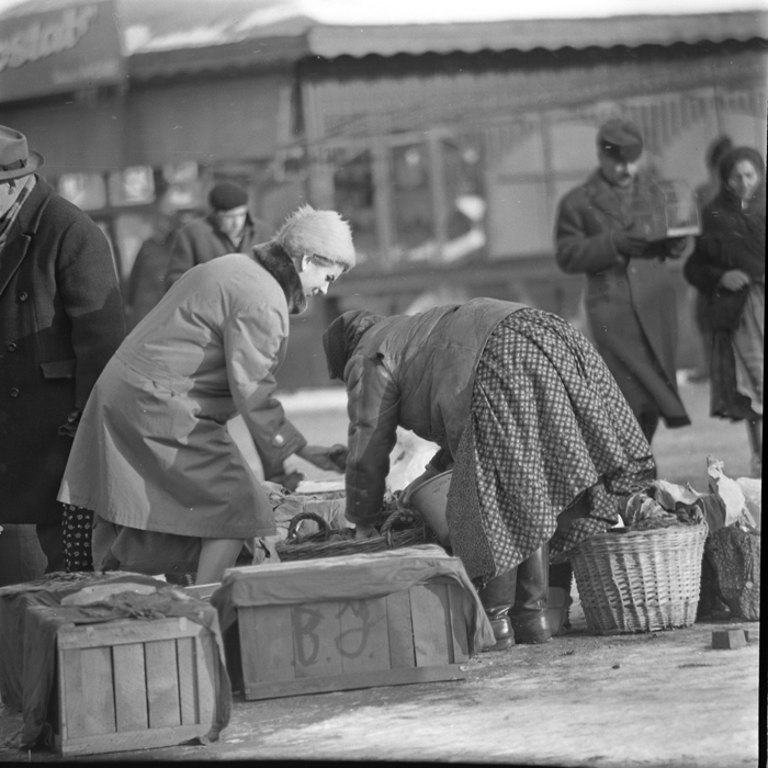 minerva_deak_f_c1_piata cluj-024