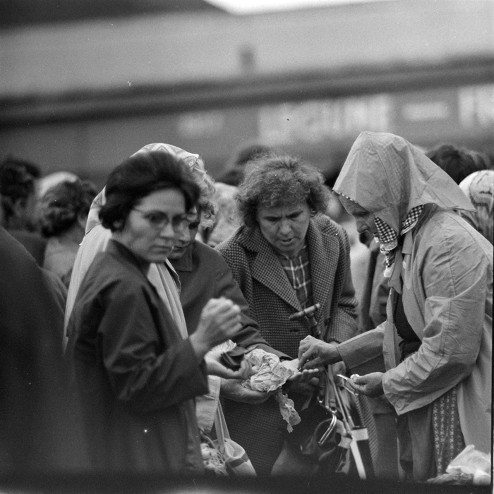 minerva_deak_f_c1_piata cluj-025