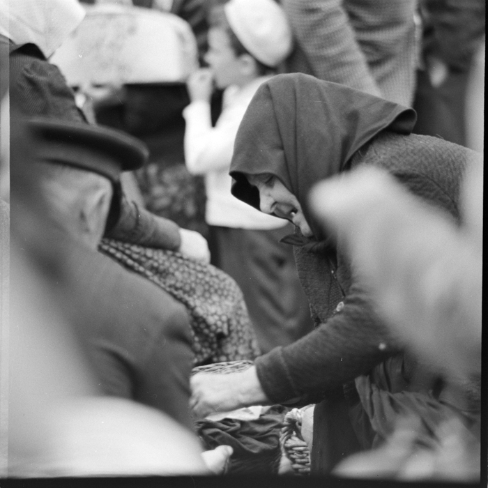 minerva_deak_f_c1_piata cluj-028