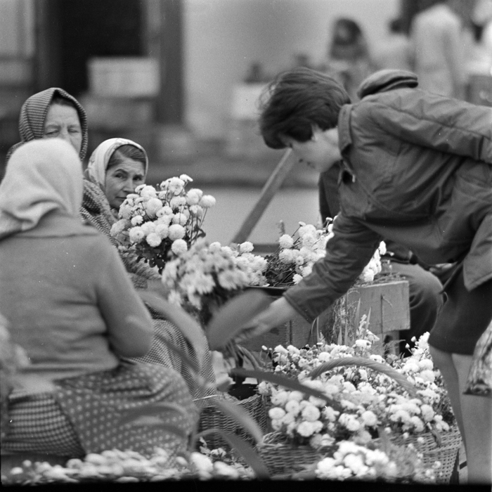 minerva_deak_f_c1_piata cluj-036