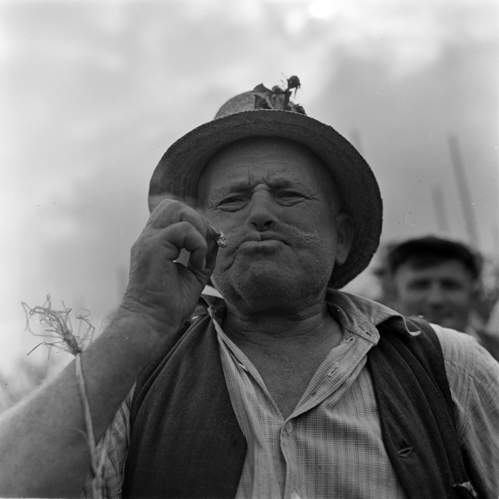 minerva_deak_f_c1_piata cluj-045