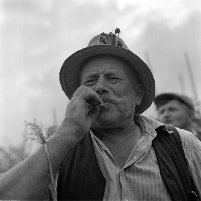 minerva_deak_f_c1_piata cluj-053