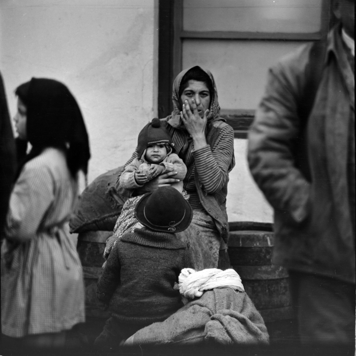 minerva_deak_f_c1_piata cluj-055