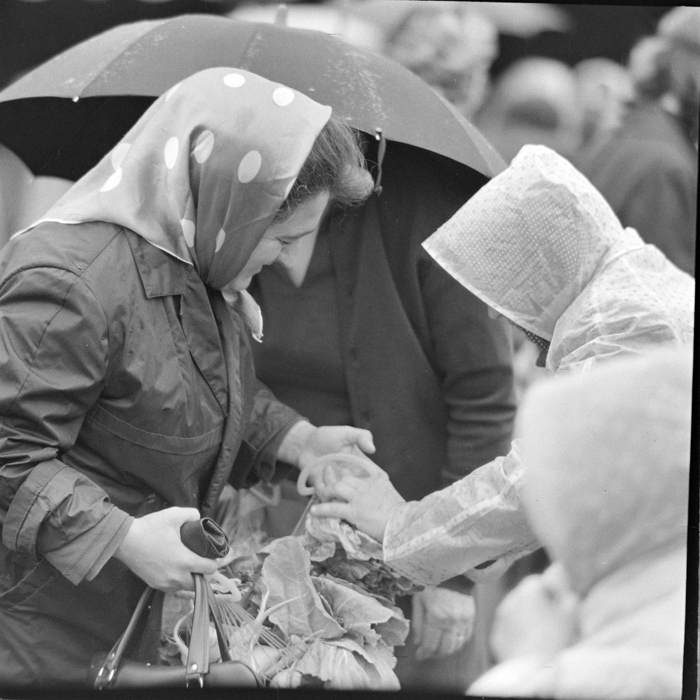 minerva_deak_f_c1_piata cluj-059