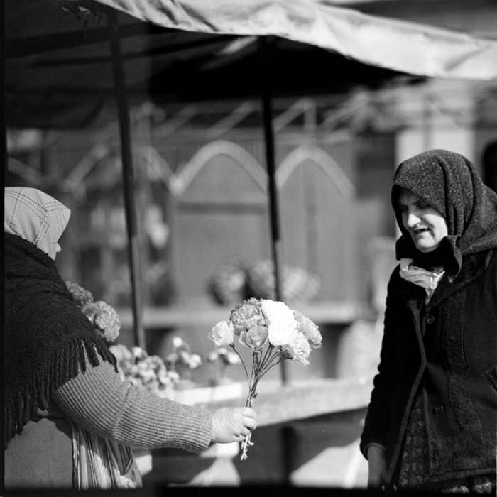 minerva_deak_f_c1_piata cluj-064