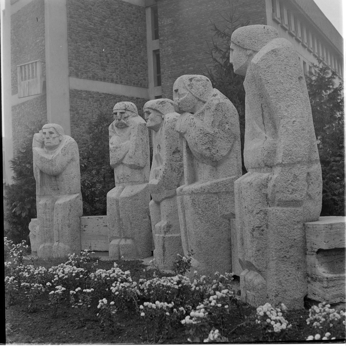 minerva_deak_f_c1_raluca ripou_portrete-048