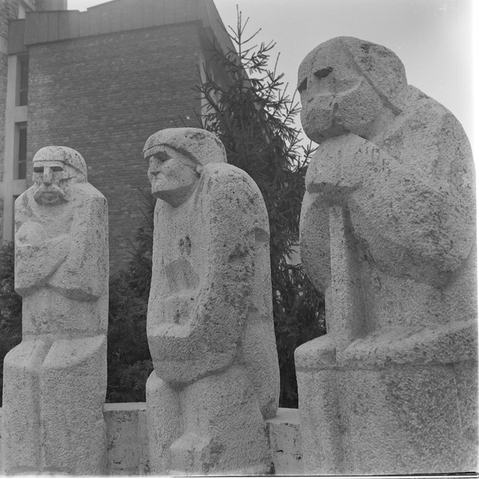 minerva_deak_f_c1_raluca ripou_portrete-049