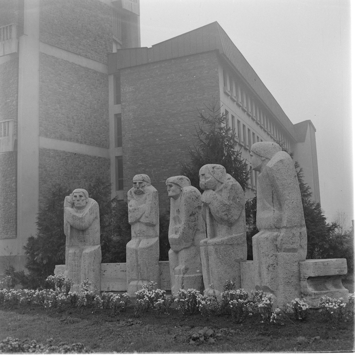 minerva_deak_f_c1_raluca ripou_portrete-050