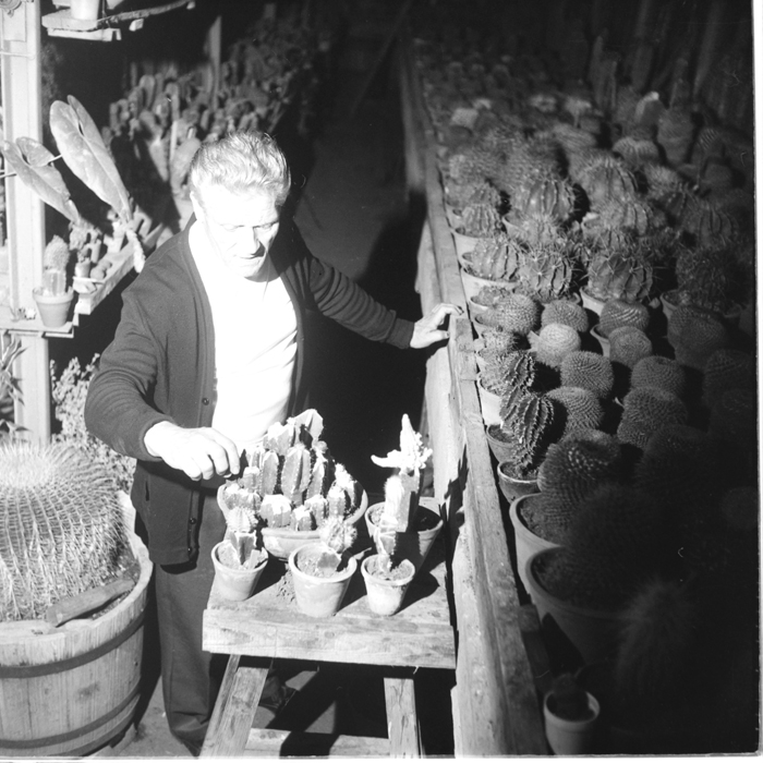 minerva_deak_f_c1_raluca ripou_portrete-052