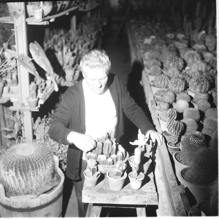 minerva_deak_f_c1_raluca ripou_portrete-055