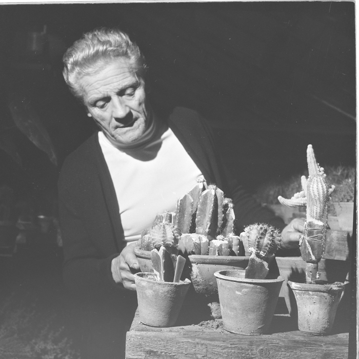 minerva_deak_f_c1_raluca ripou_portrete-060