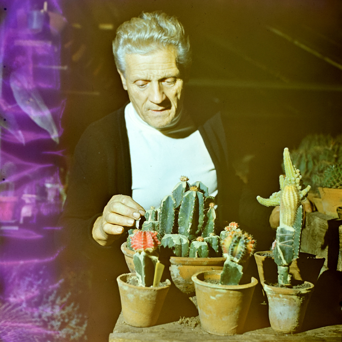 minerva_deak_f_c1_raluca ripou_portrete-072