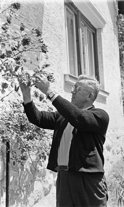 minerva_deak_f_c1_raluca ripou_portrete-089