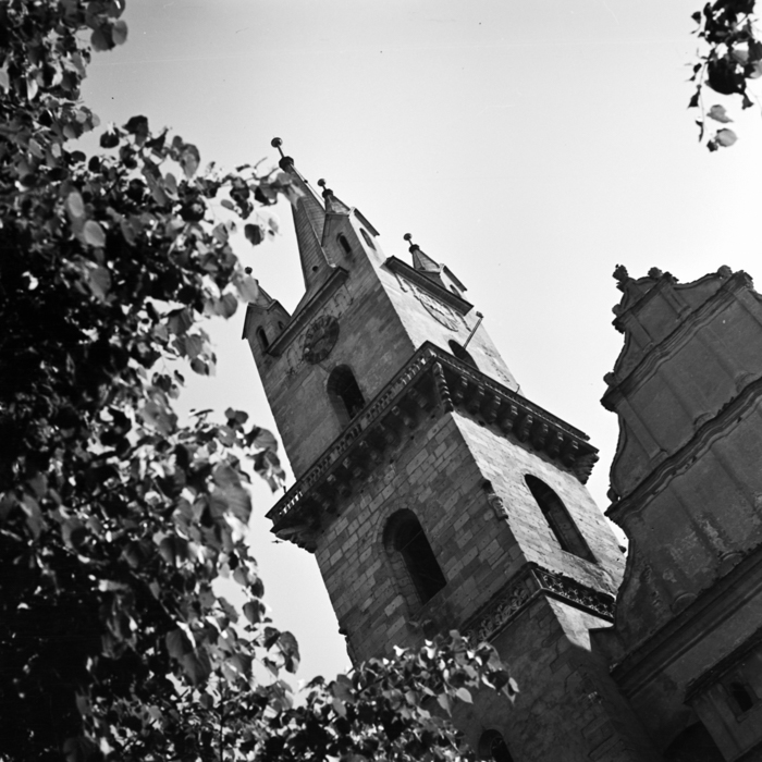 minerva_deak_f_c21_Bonchida-007