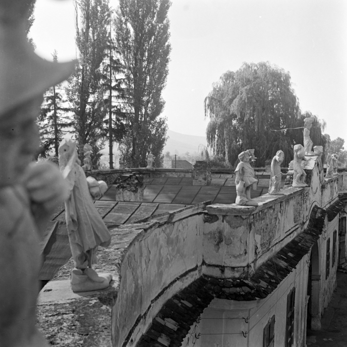 minerva_deak_f_c21_Bonchida-013