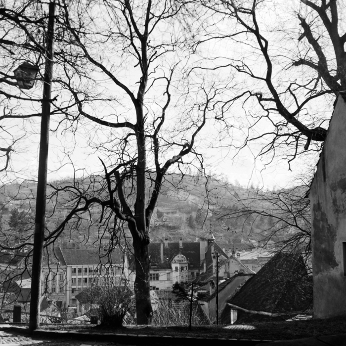 minerva_deak_f_c21_Torocko,Moldva,Utazasok-029