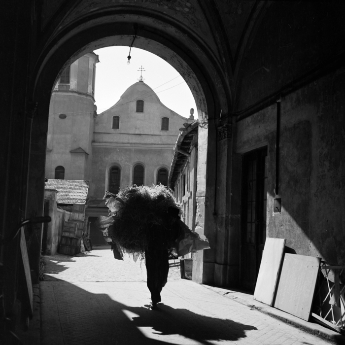 minerva_deak_f_c21_Torocko,Moldva,Utazasok-034