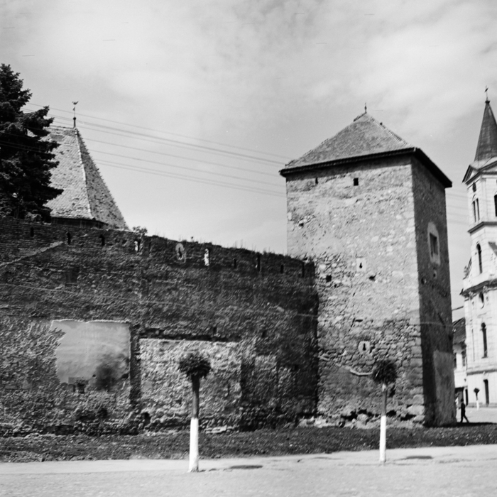 minerva_deak_f_c21_Torocko,Moldva,Utazasok-057