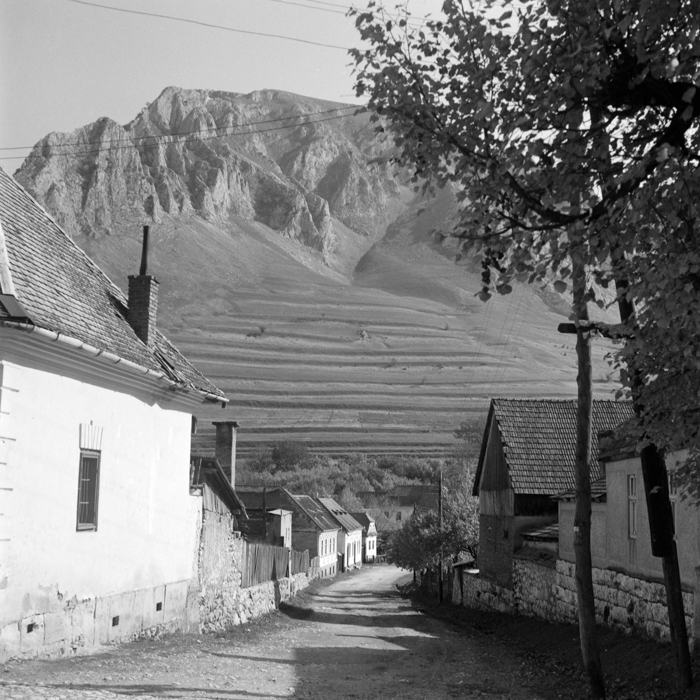 minerva_deak_f_c21_Torocko,Moldva,Utazasok-064