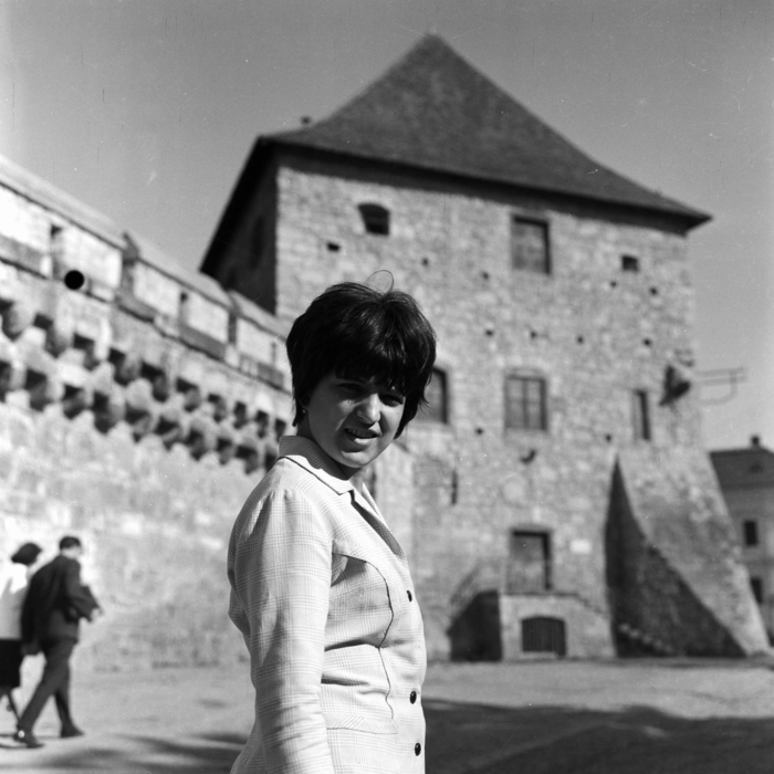 minerva_deak_f_c21_necategorizat-021