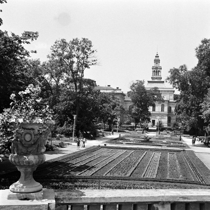 minerva_deak_f_c21_necategorizat-027