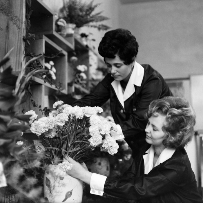 minerva_deak_f_c21_necategorizat-047