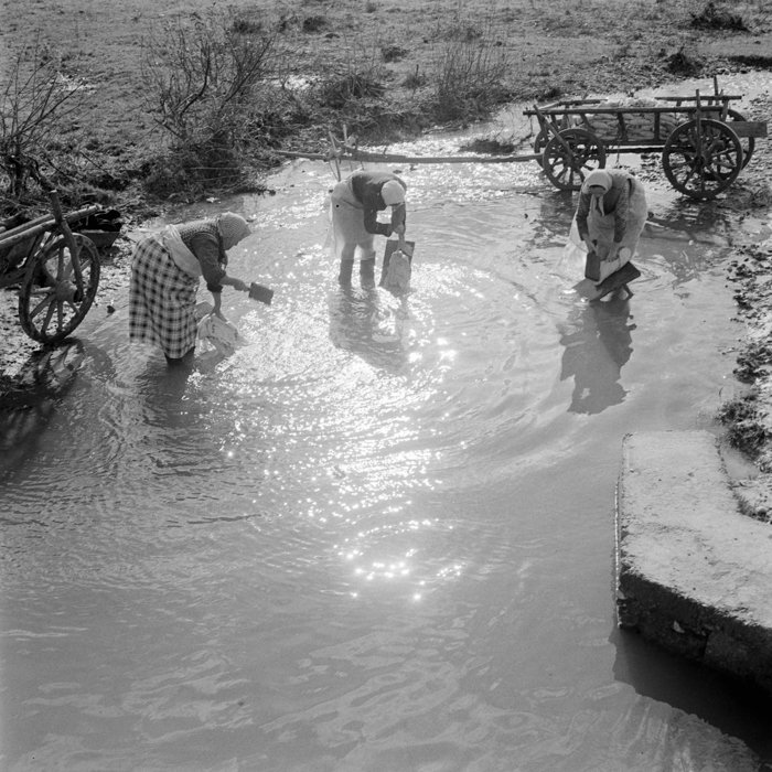 minerva_deak_f_c21_necategorizat-059