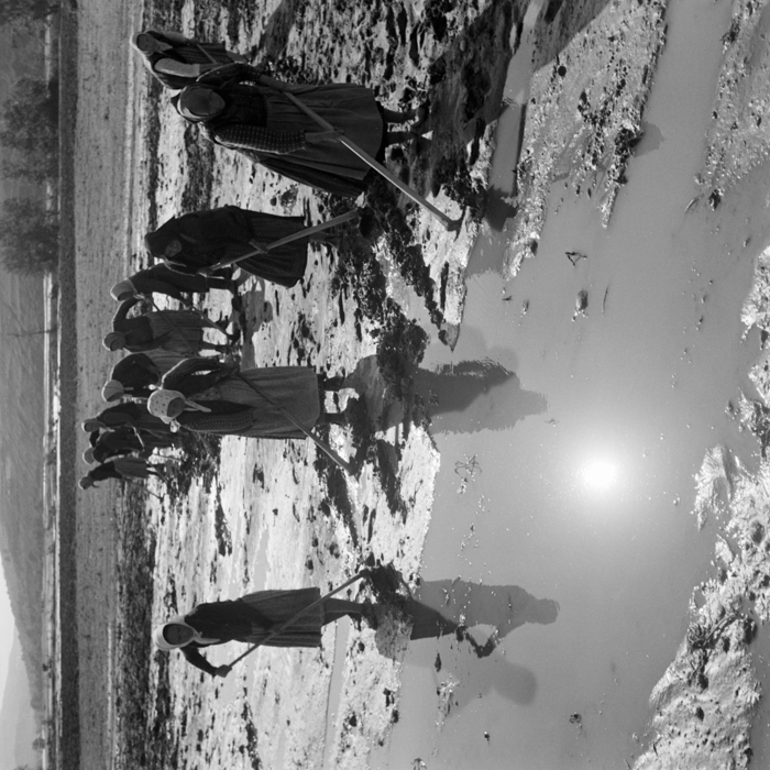 minerva_deak_f_c21_necategorizat-060