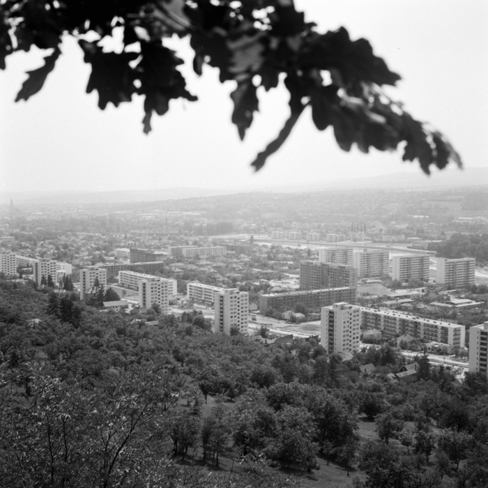 minerva_deak_f_c21_necategorizat2-023