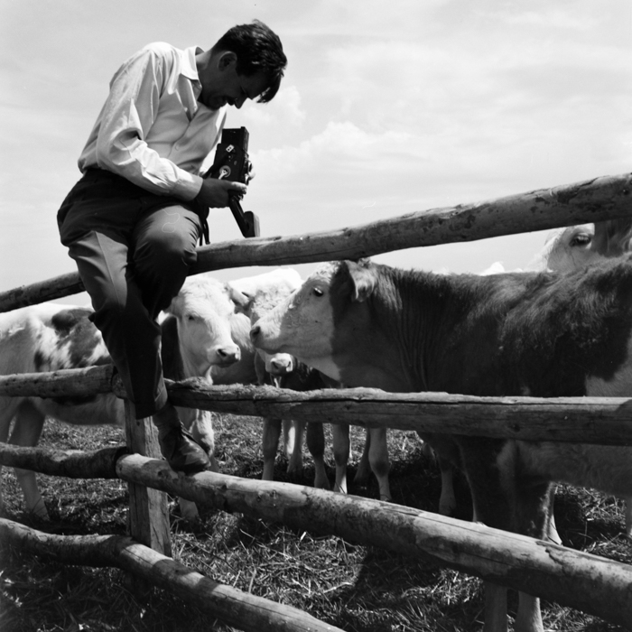 minerva_deak_f_c21_necategorizat2-037