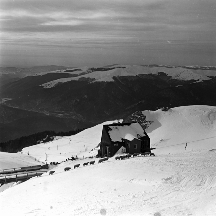 minerva_deak_f_c21_necategorizat2-042