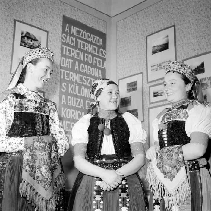 minerva_deak_f_c21_necategorizat2-044