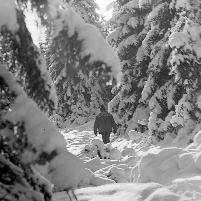 minerva_deak_f_c21_necategorizat2-048