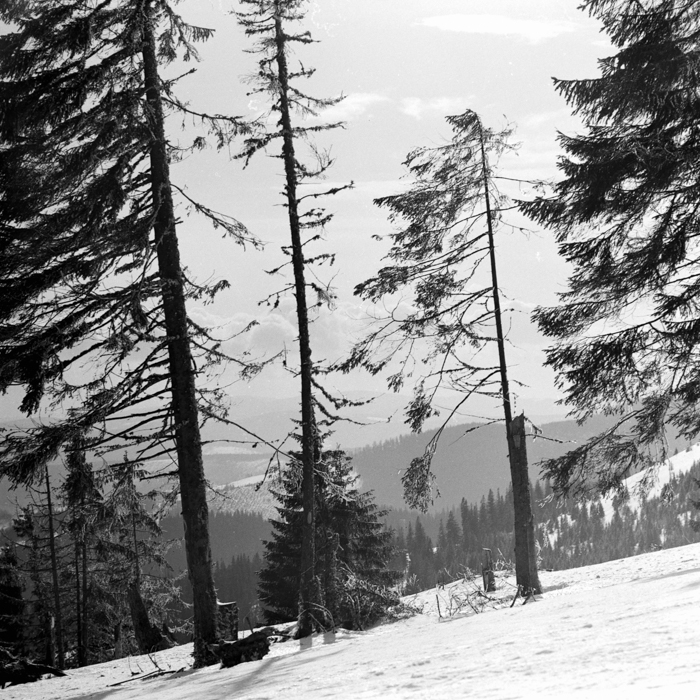 minerva_deak_f_c21_necategorizat2-054