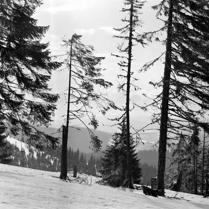 minerva_deak_f_c21_necategorizat2-055