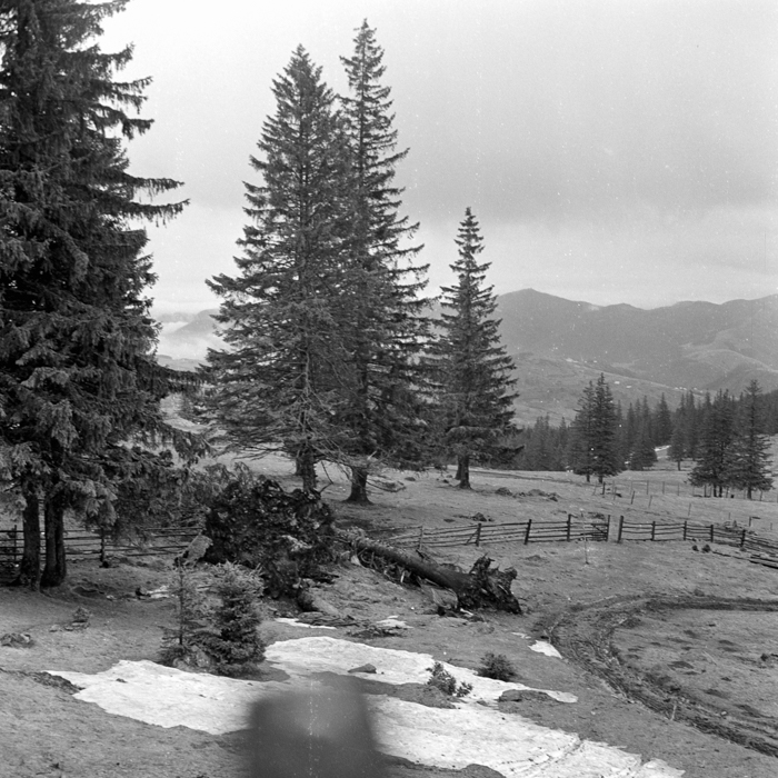 minerva_deak_f_c21_necategorizat2-062